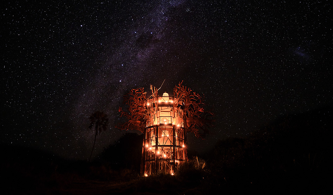 1-The-Baobab-Treehouse-under-the-stars-4