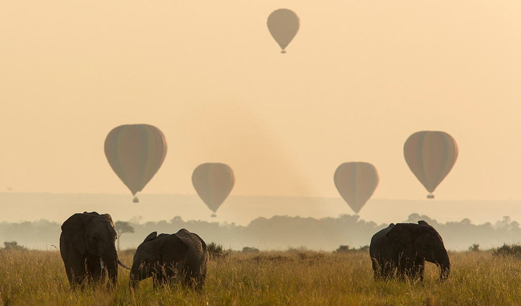 3-Elephants-and-balloons