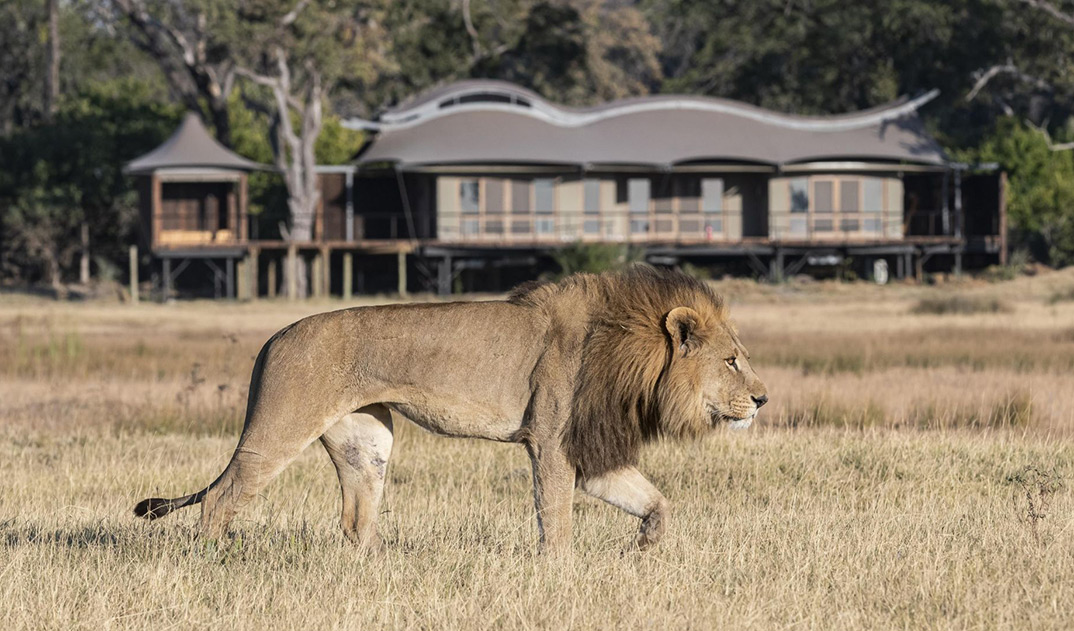5-xigera-safari-lodge-4
