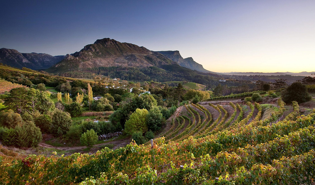 6-Boschendal-02