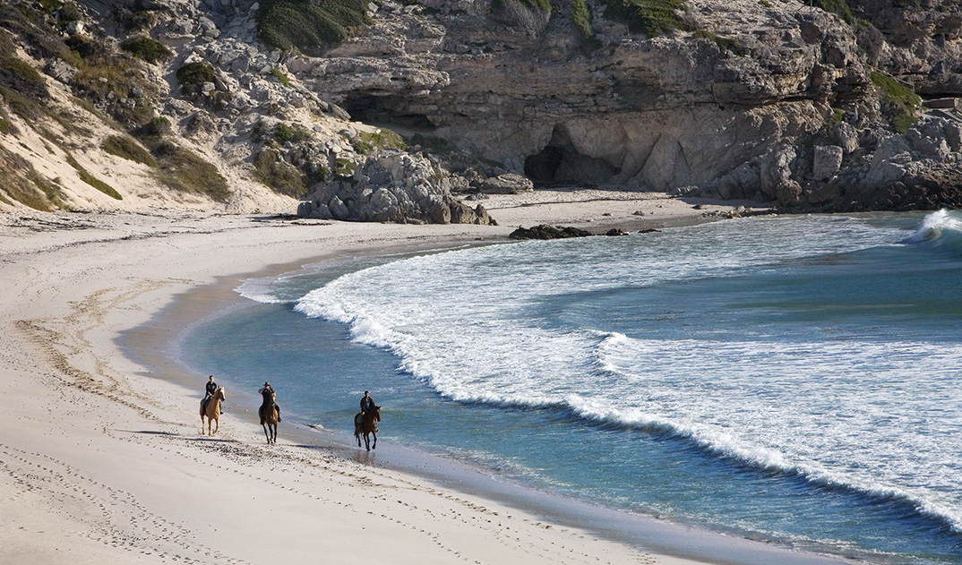 7-web-grootbos-experience-horse-riding-beach-16