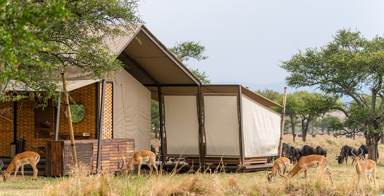 4-Sabora_Impala-outside-One-Bedroom-Tented-Suite_Osse-Sinare-(1)