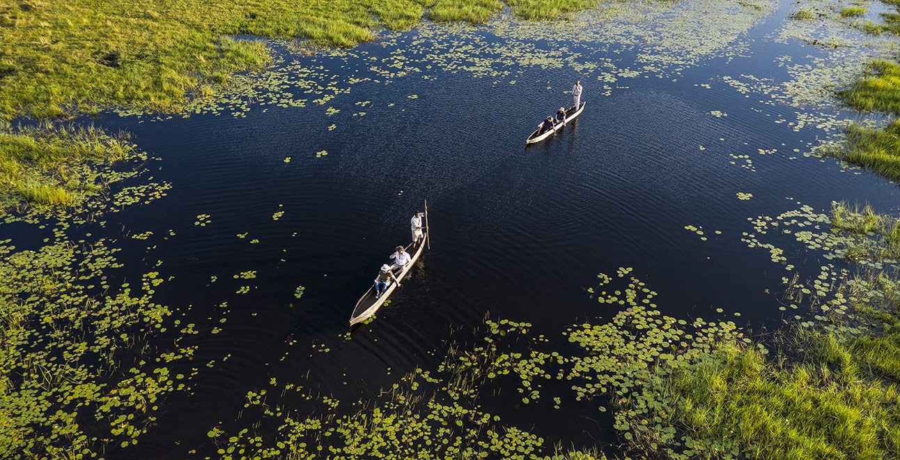 Botswana-delta